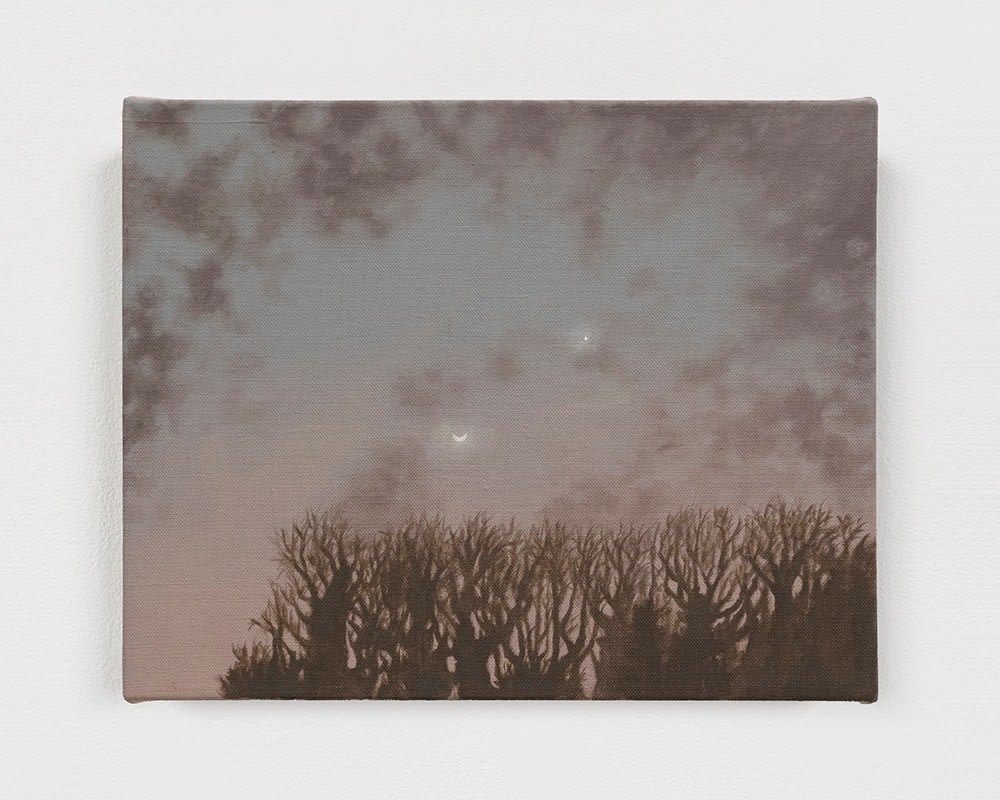 Moon and Venus