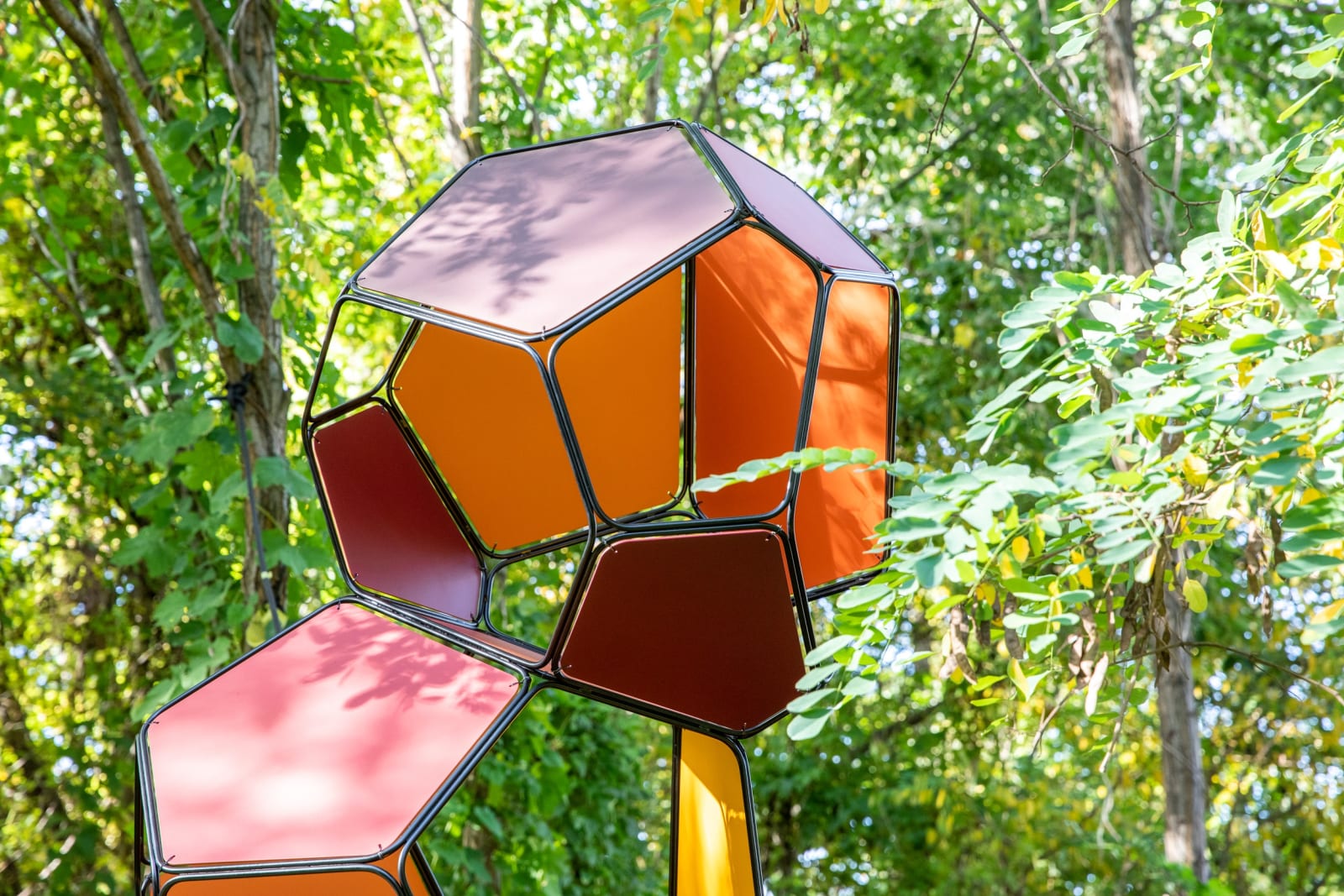 Image of Silent Autumn (Ross 508 B/M+M)