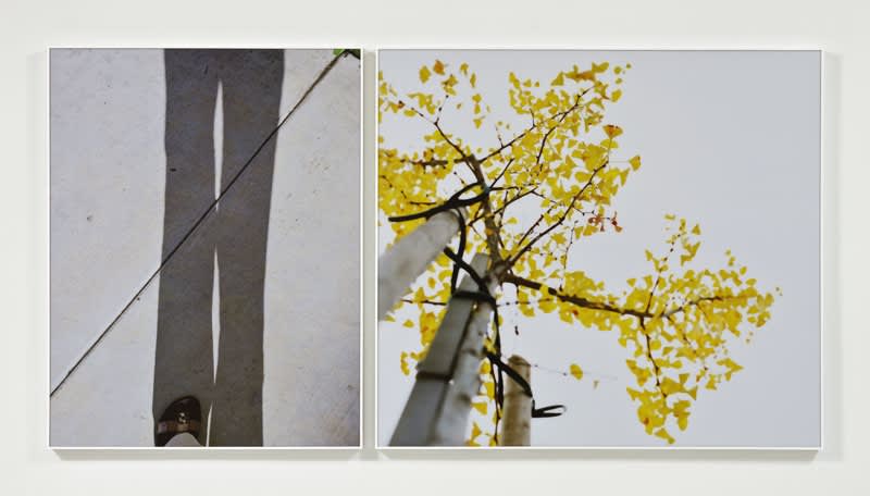 ... to walk without destination and to see only to see. (Untitled 10.2)