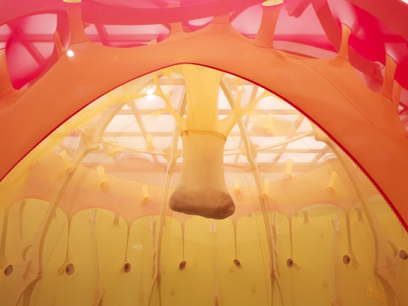 symbiointestubetime - the flavour happens in a state of being flavour flower womb domus [detail]