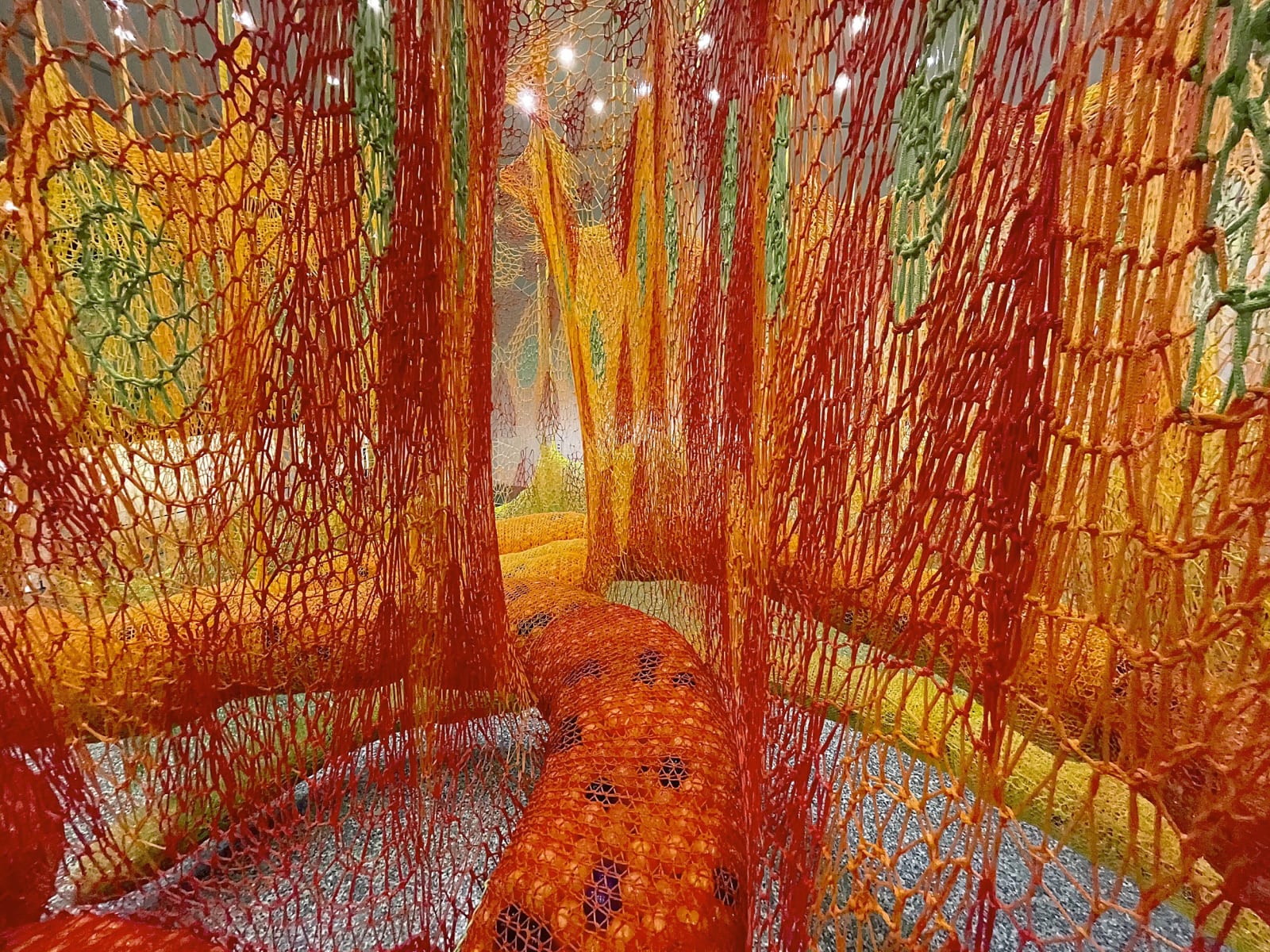 Image of SunForceOceanLife