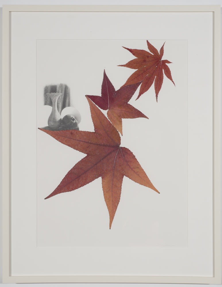 Peggy Preheim, Memento Mori, 2014