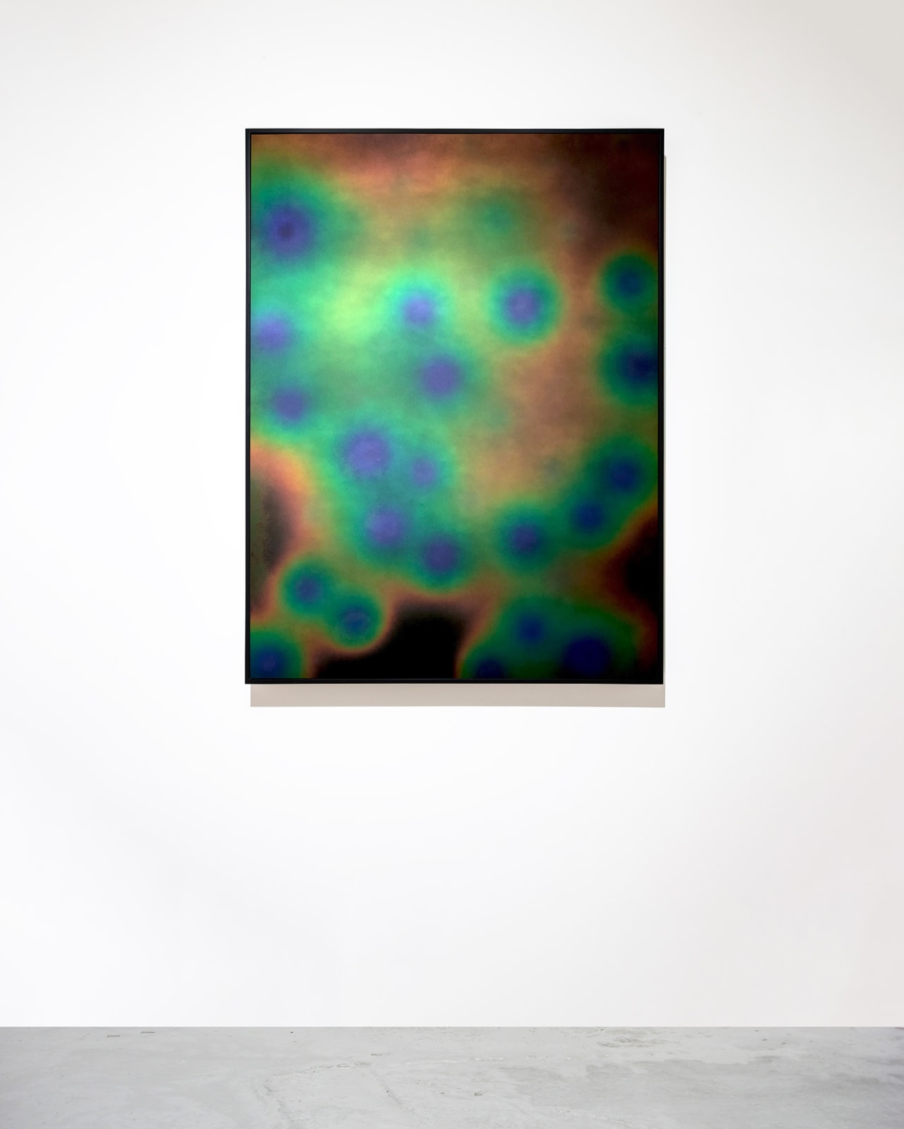 Agnieszka Kurant, Conversions 1, 2019