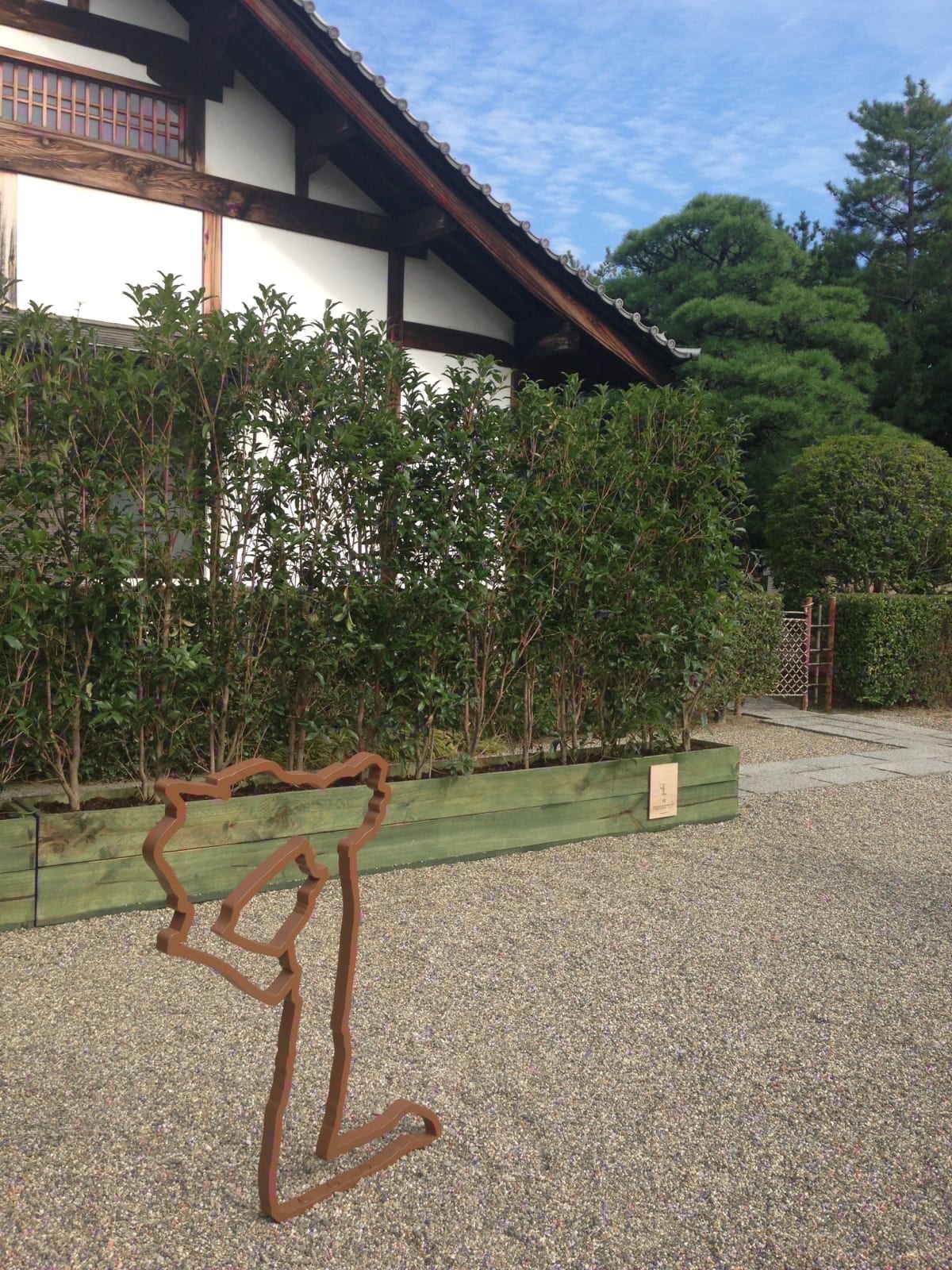 Image of Shadows Without Light.