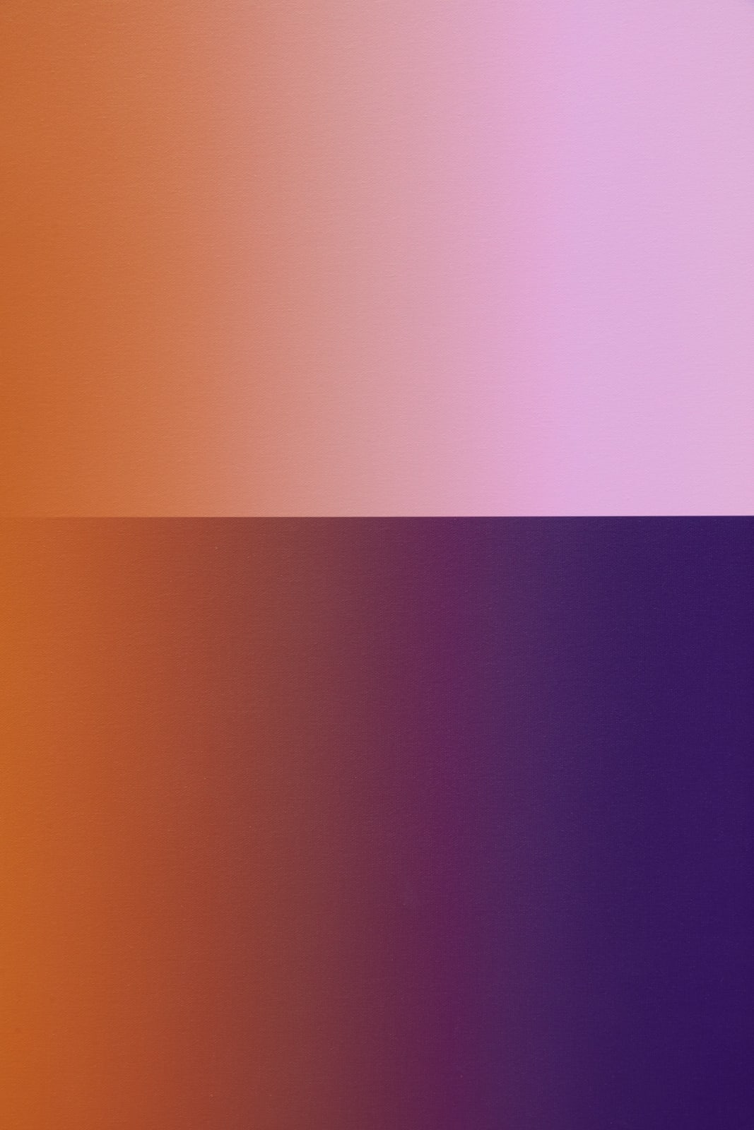 Image of beep honk toot (condensed/spectrum) 5.