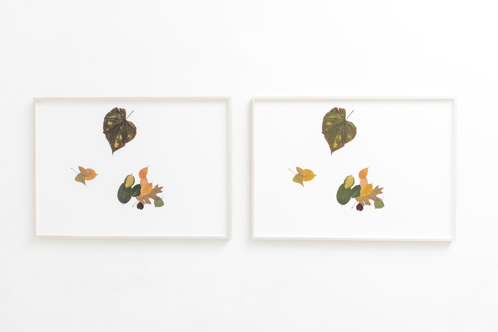 Silent Autumn 24042021... (Triptych) TBC