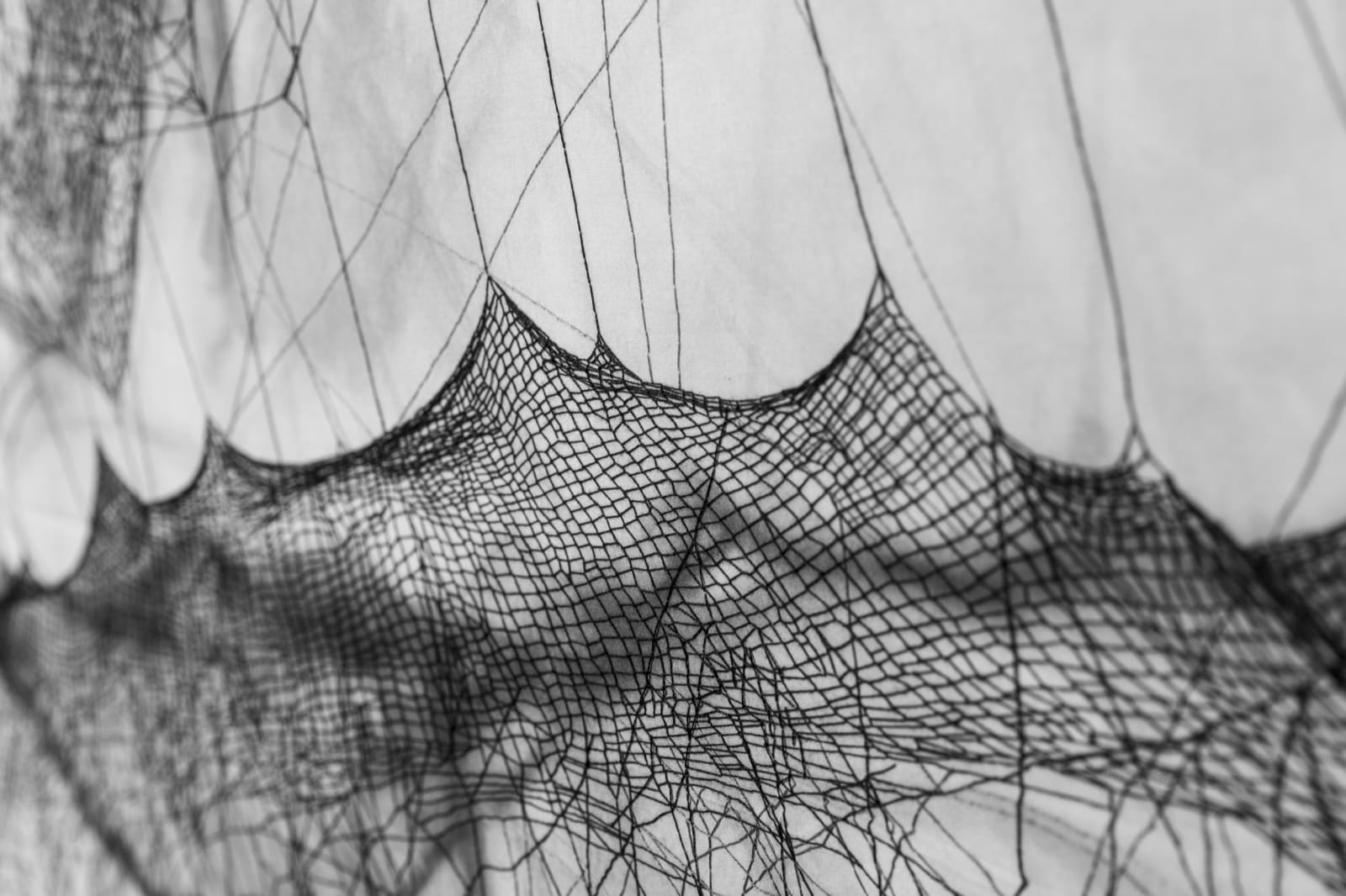 Image of Handwoven spider map