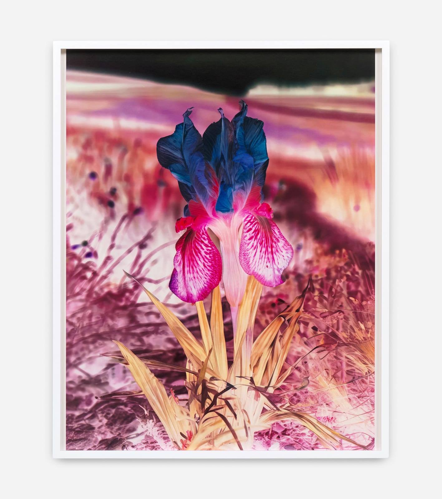 Lisa Oppenheim, Mlle Steichen, Version VII, 2024