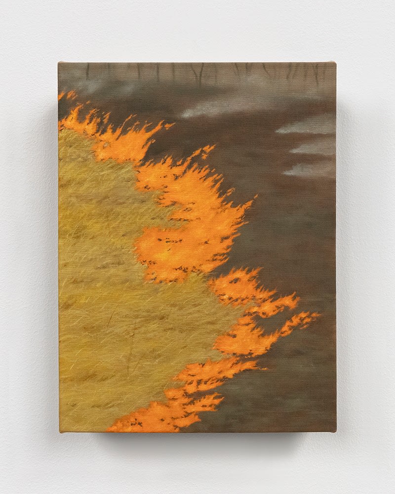 Controlled burn