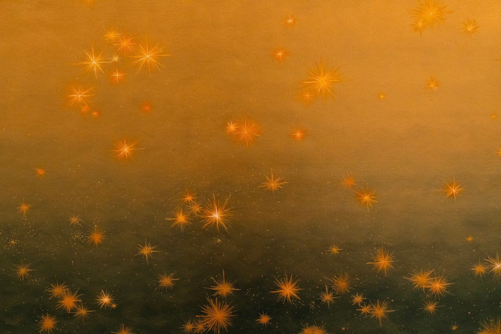 Image of The Stars' Paradox.