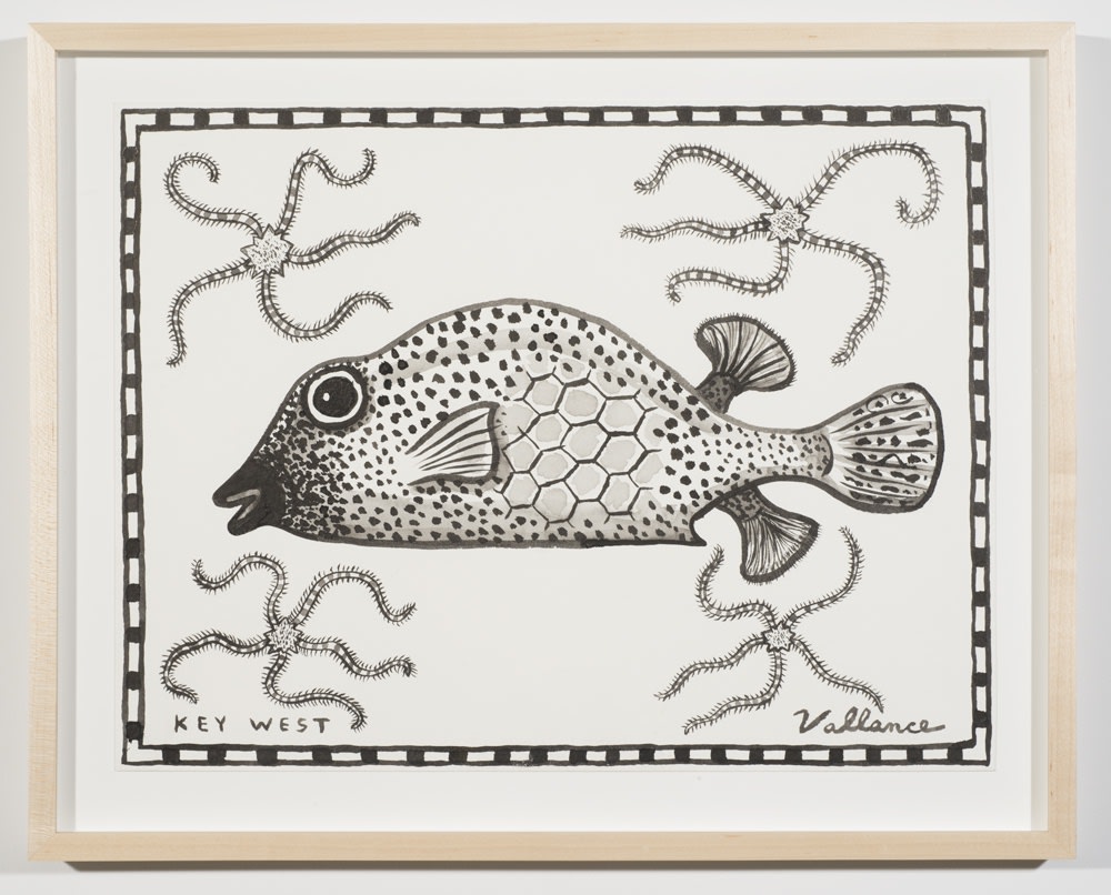Key West Honeycomb Cowfish with Long-legged Starfish