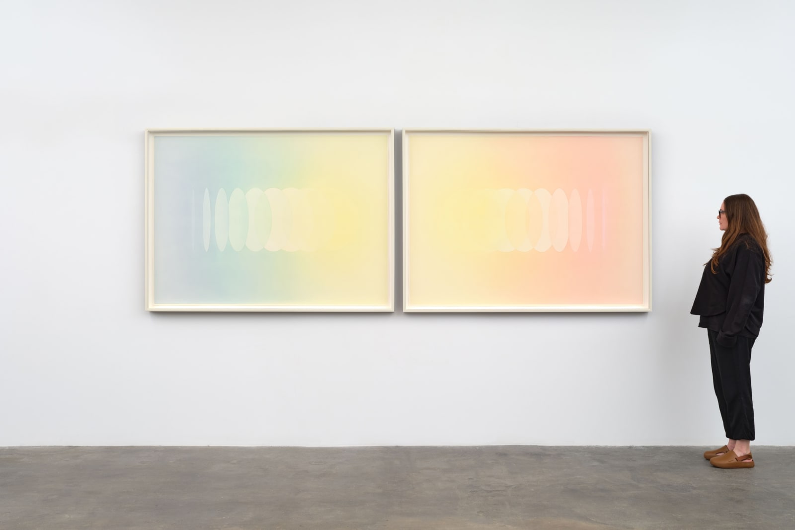 Image of The rainbow divide