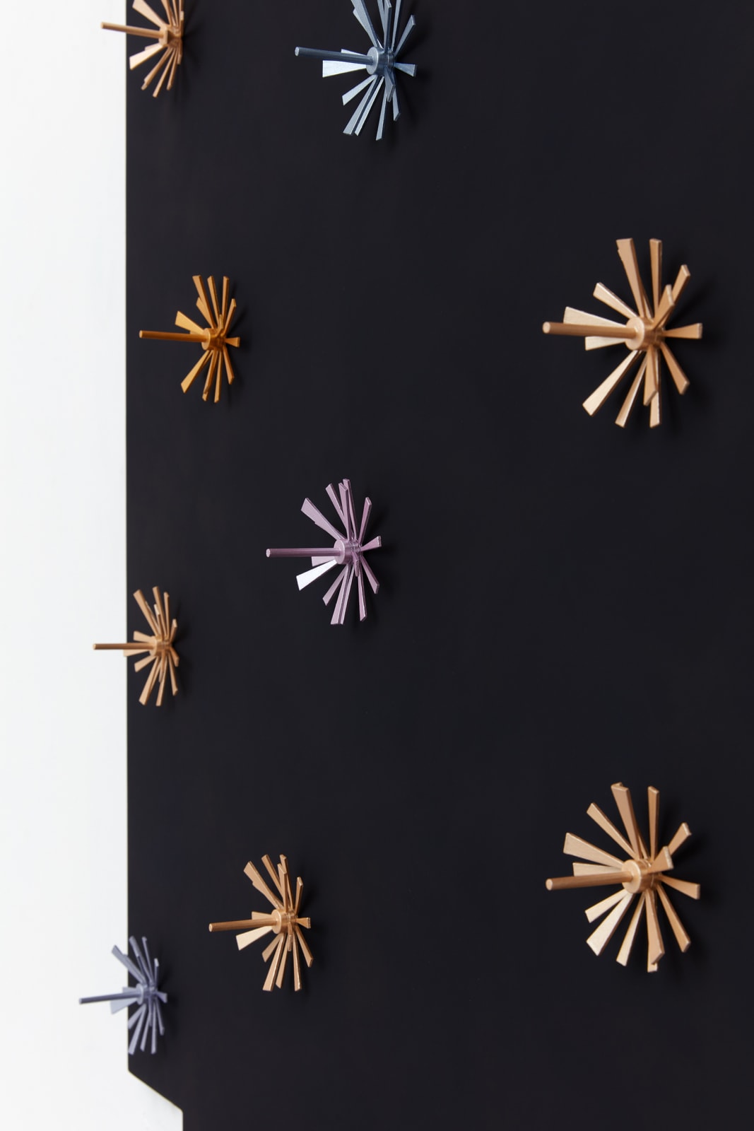 Image of Garden (Apartment).