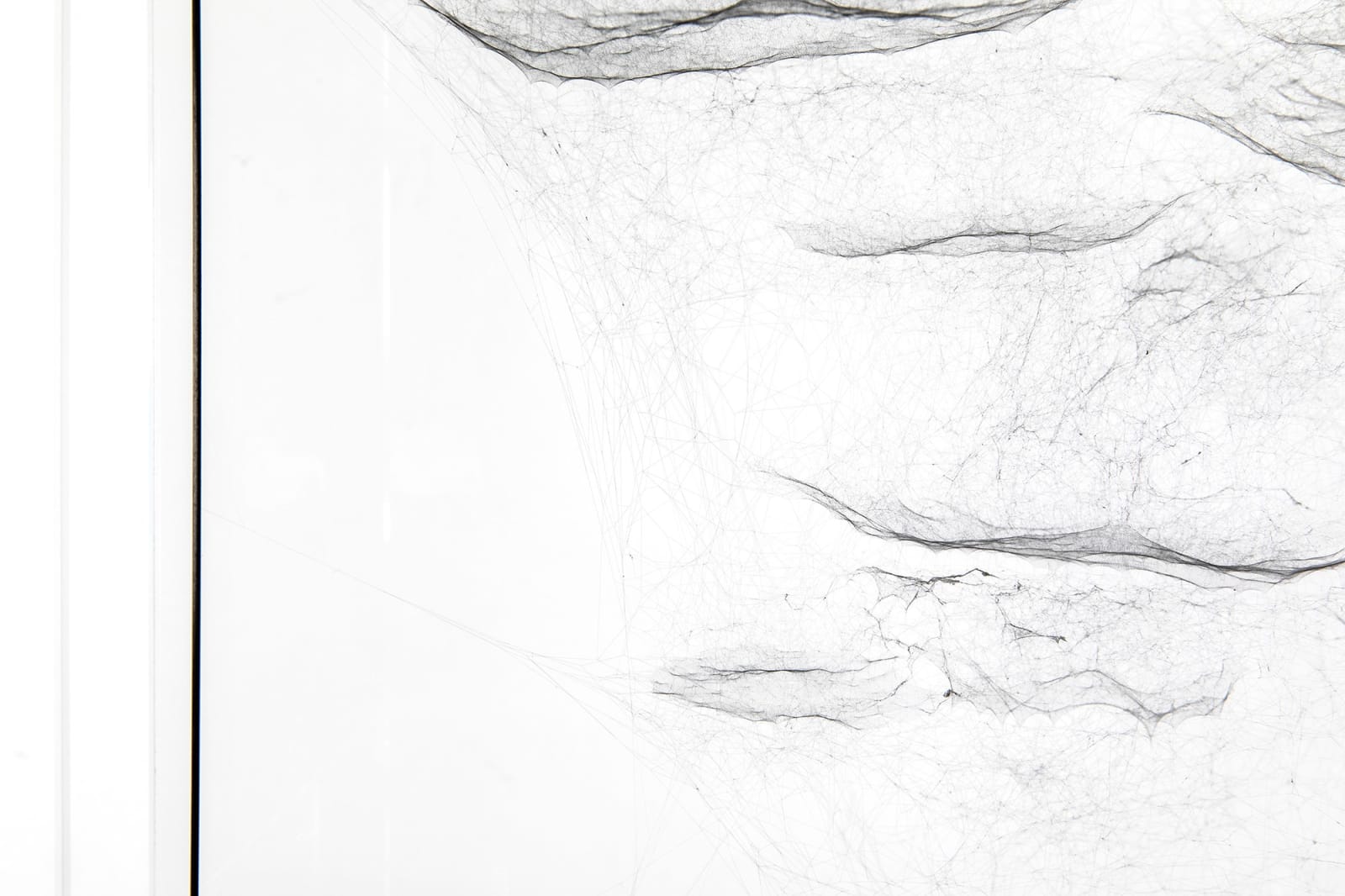 Image of spider box.