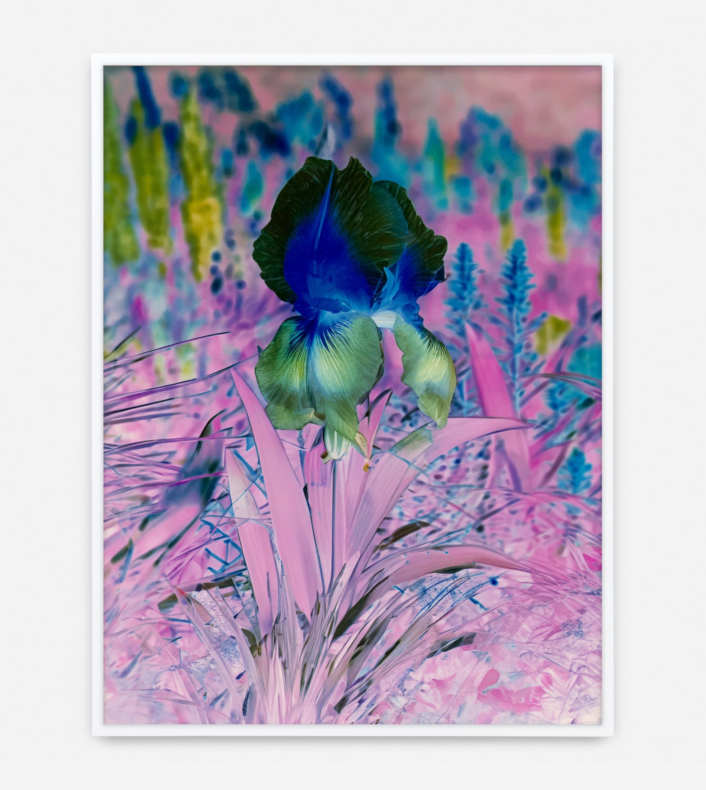 Image of Här Steichen Version IV.