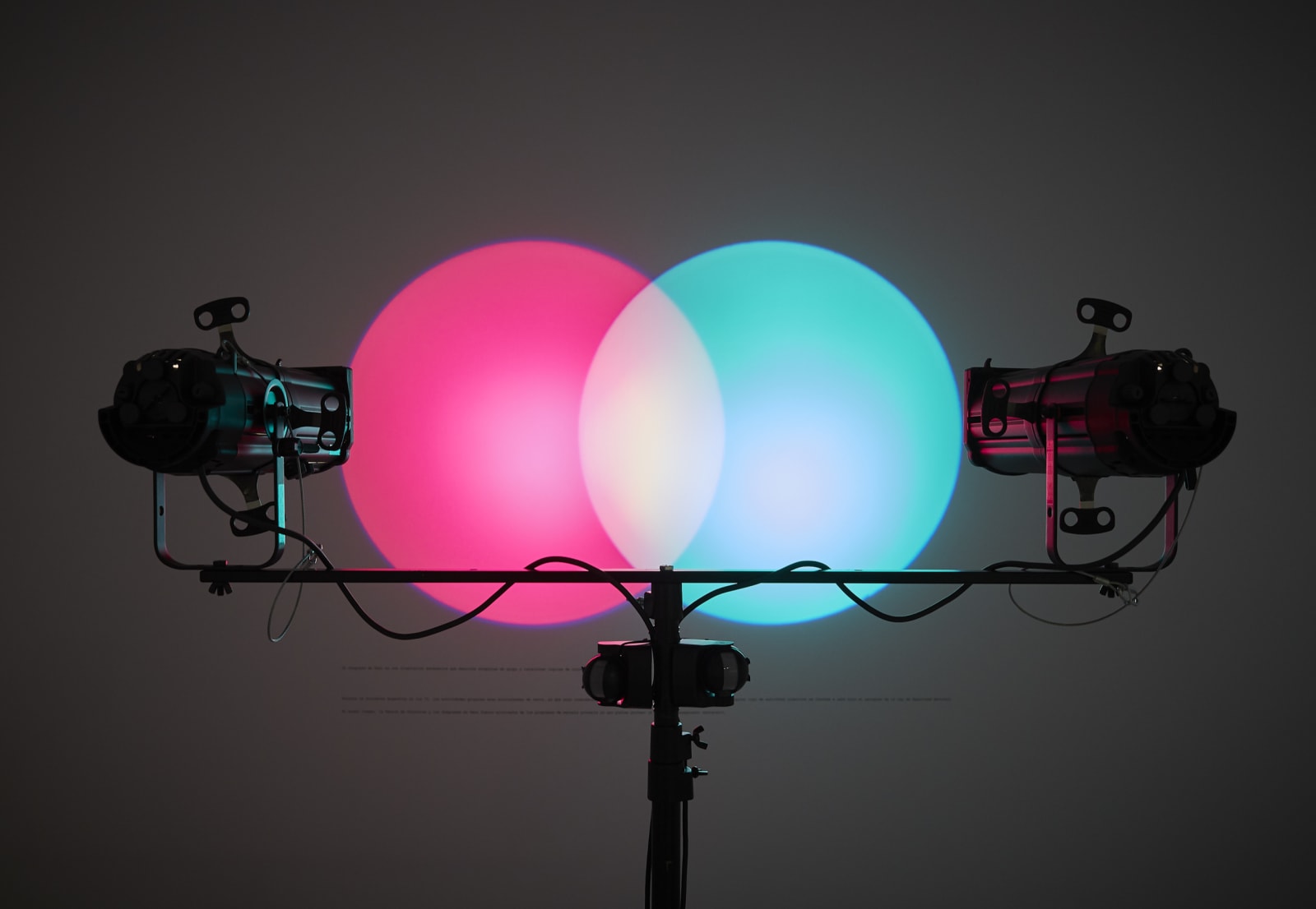 Venn Diagrams (under the spotlight)