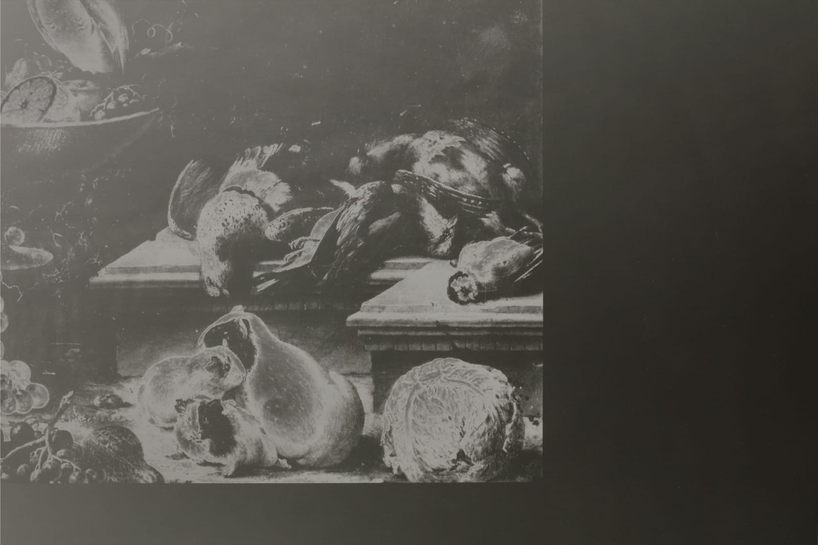 Image of Stilleben mit Früchten, totem Geflügel, Gemüse und Meerschweinchen, 1942/2022