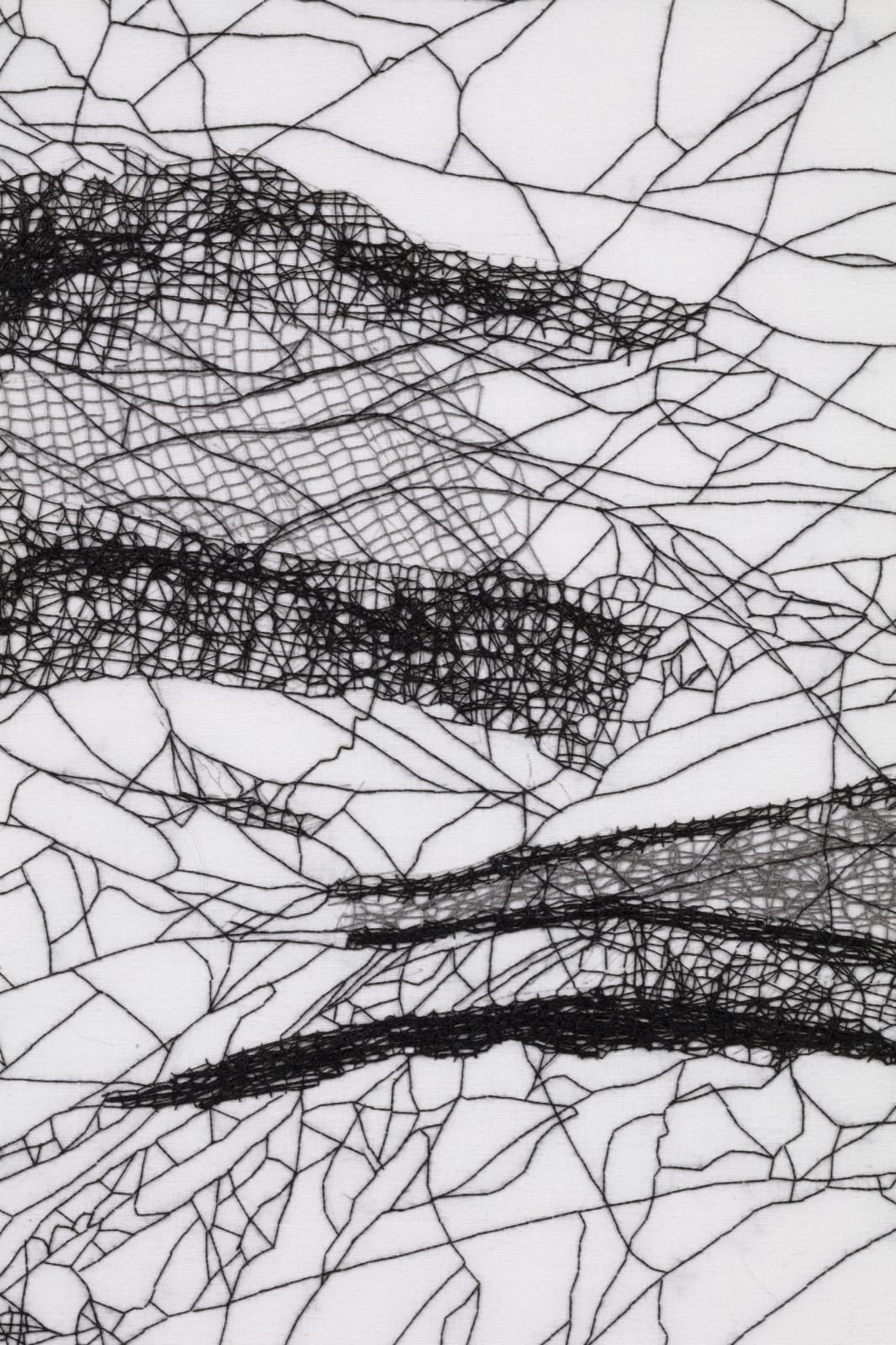 Image of Handwoven spider map