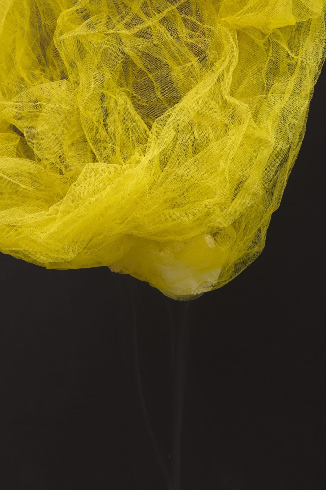 Image of Levianes #8