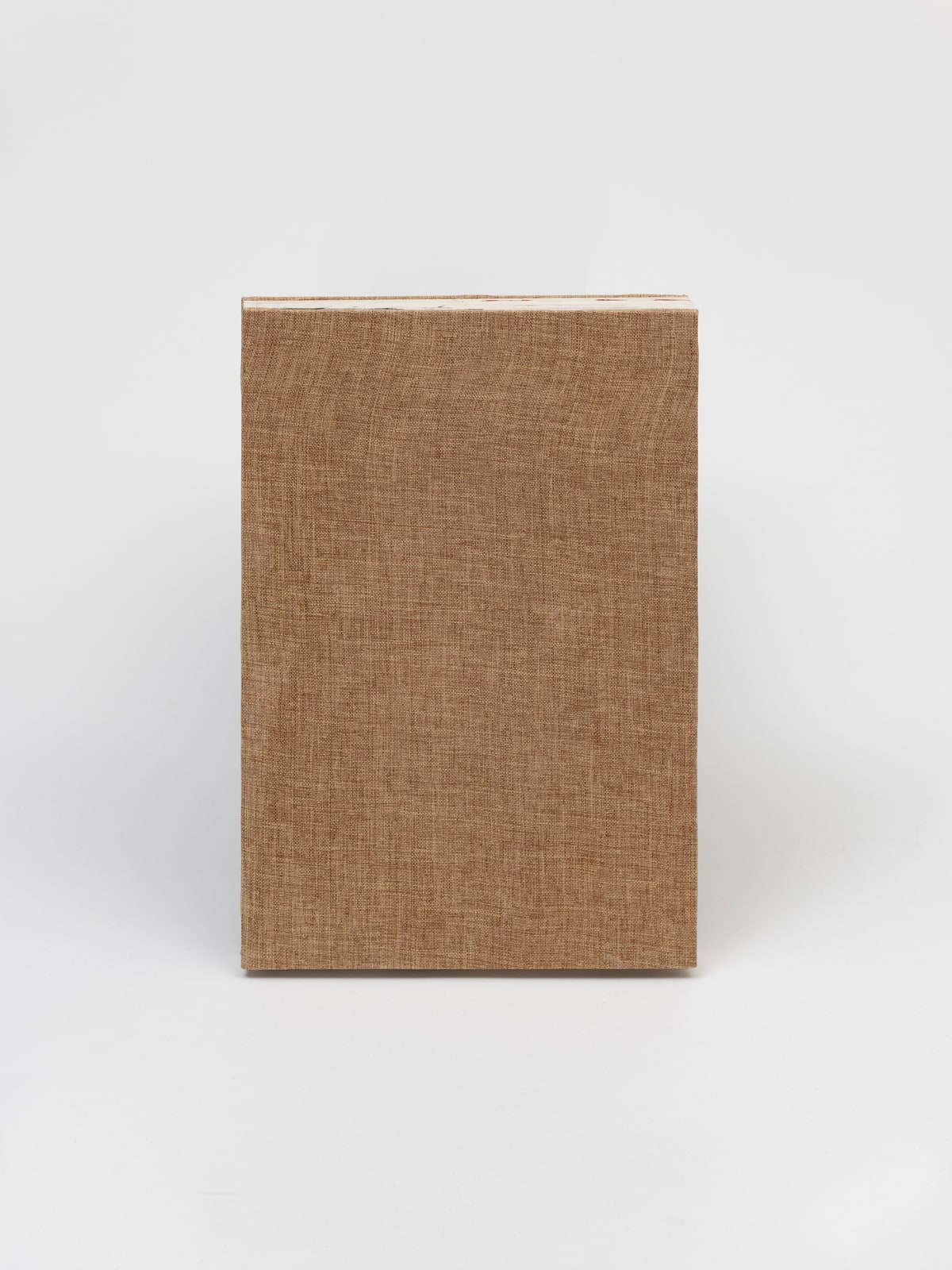 Image of Trópicos malditos, gozosos e devotos (caderno II)/ Tropics: Damned, Orgasmic and Devoted (notebook II)