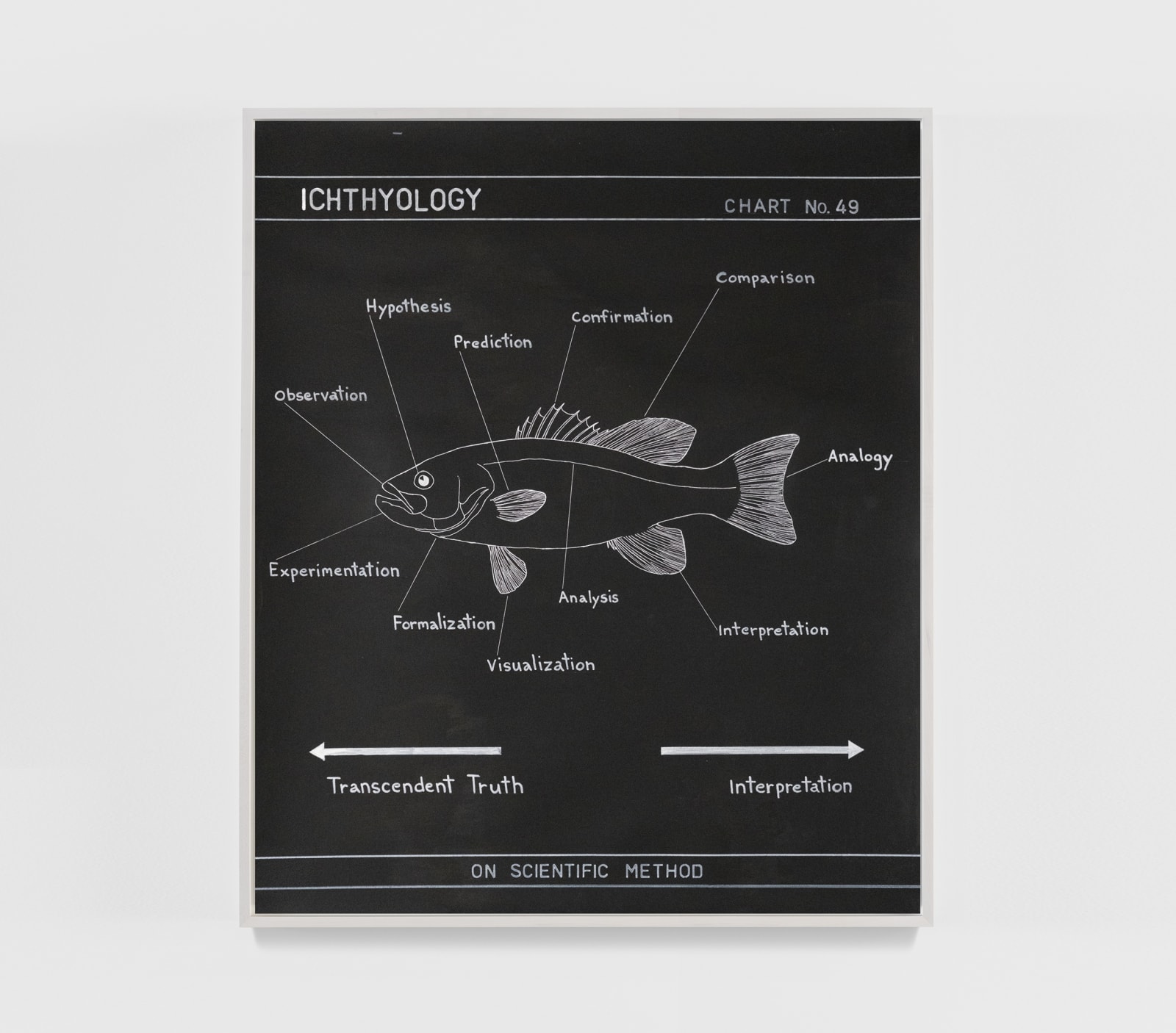 image of Dion drawing of a fish