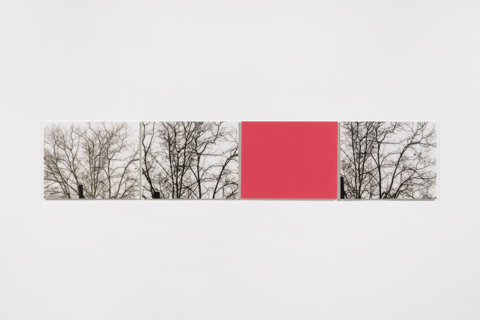 Image of white blind (bright red) (02.13)