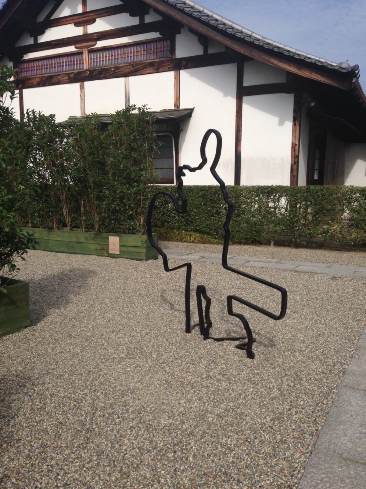 Image of Shadows Without Light.