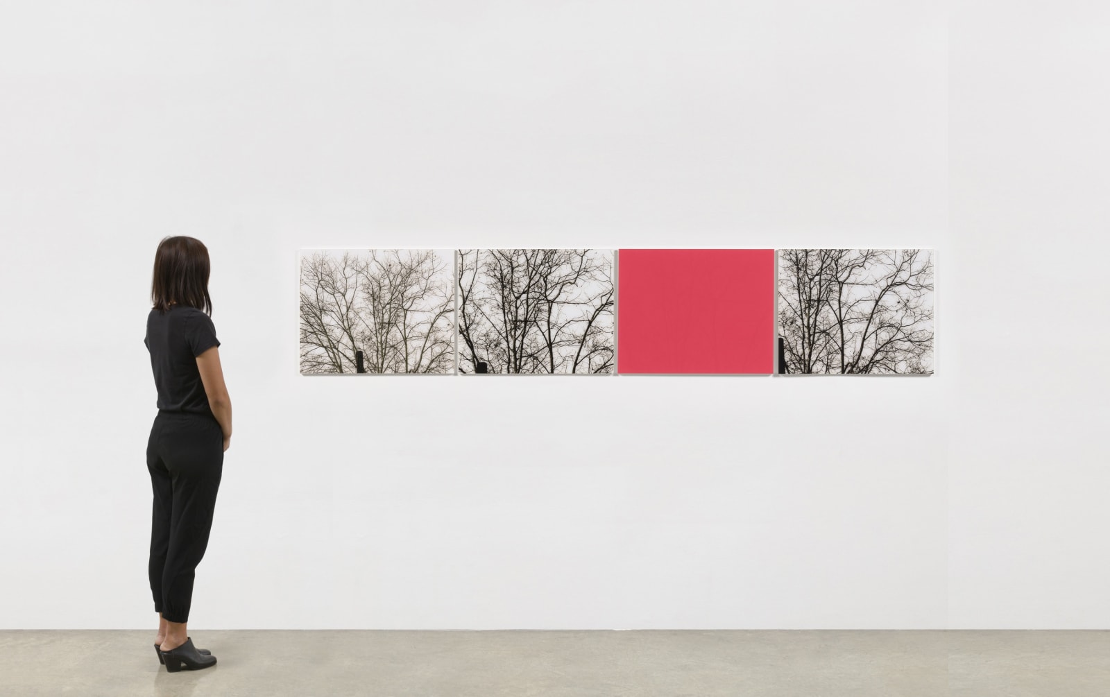 Uta Barth, white blind (bright red) (02.13), 2002 | Tanya