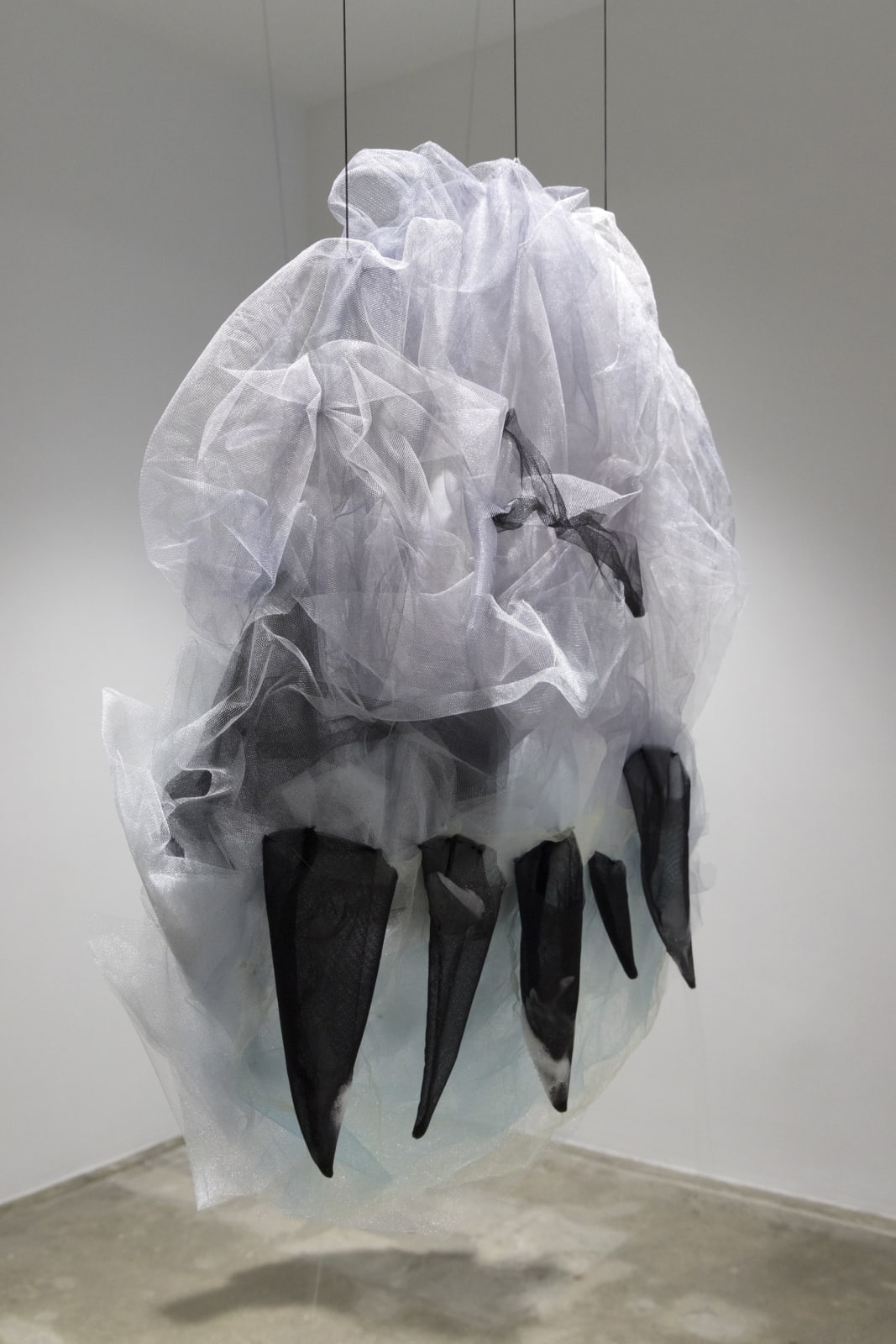 Image of Levianes #3