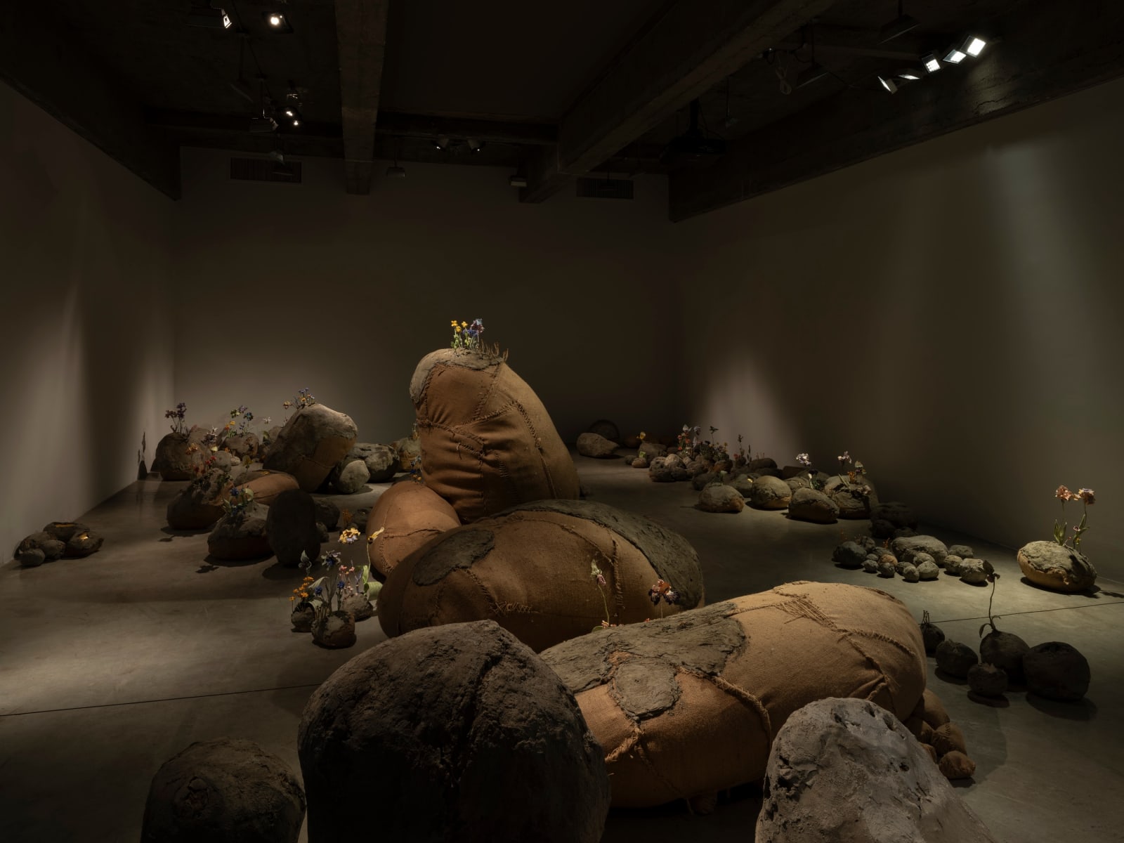 Image of The Stone Garden.