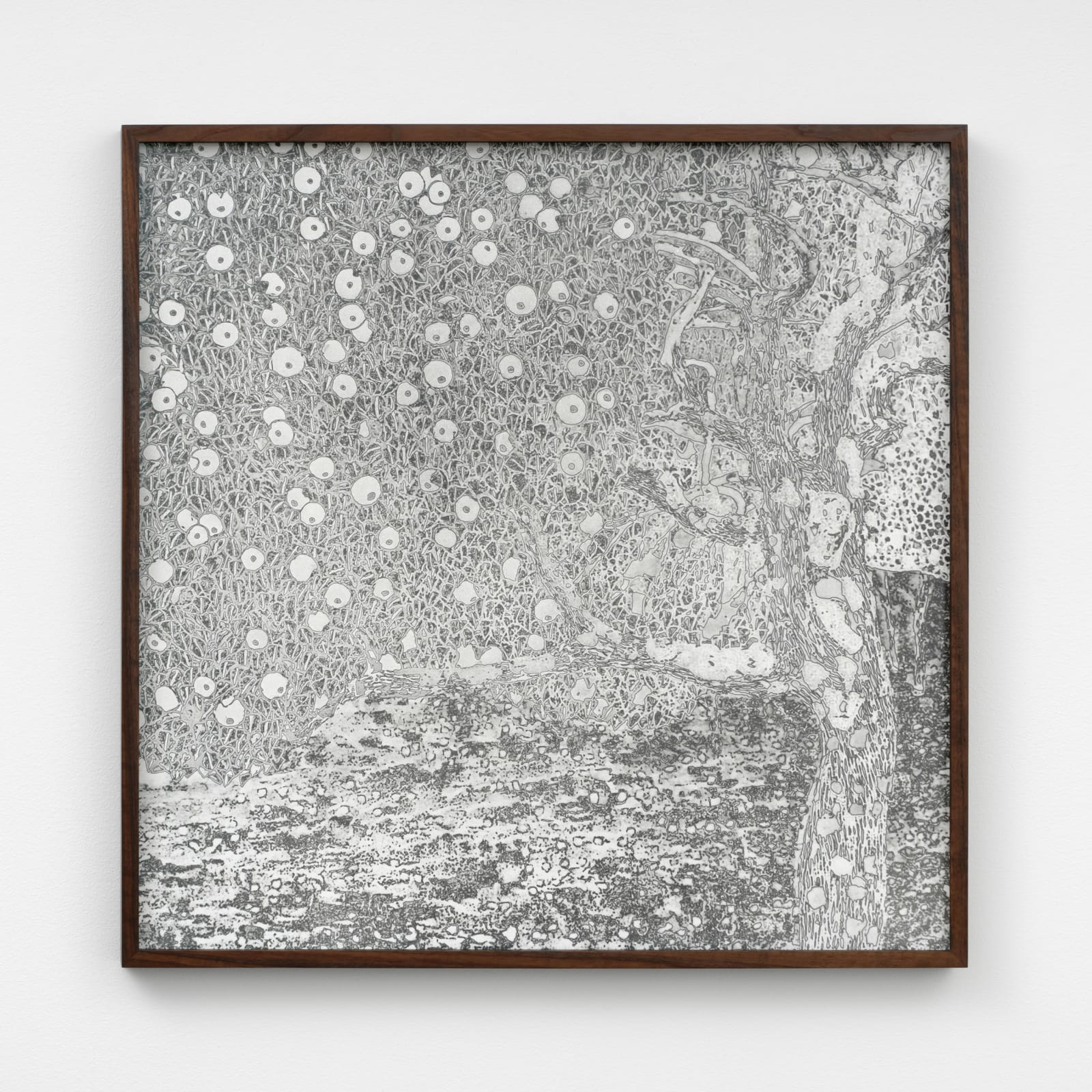 Image of Goldener Apfelbaum, 1903/2024 (Version II)