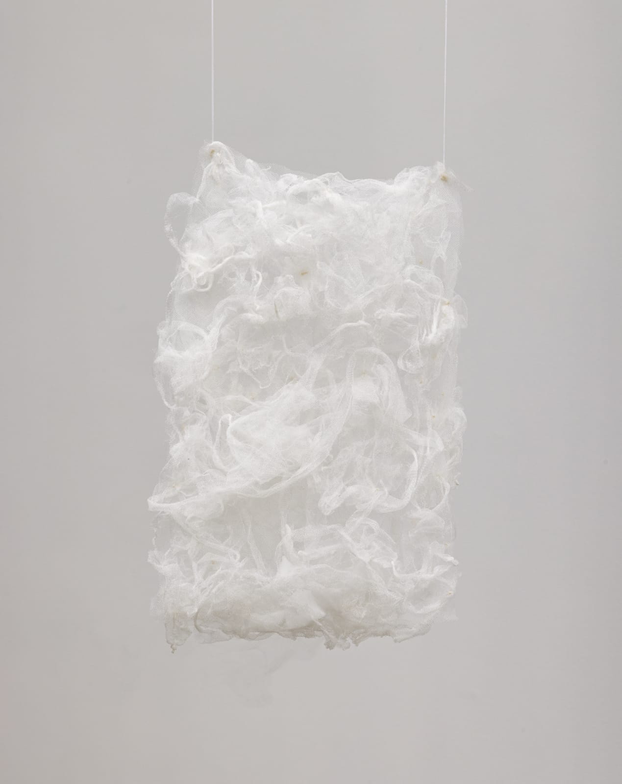 Image of Levianes #10