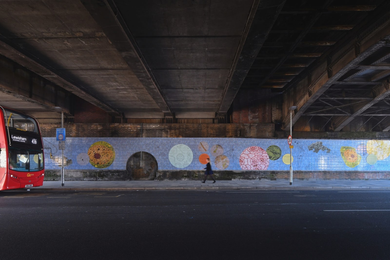 Amalia Pica, Microscope Park Life, 2018