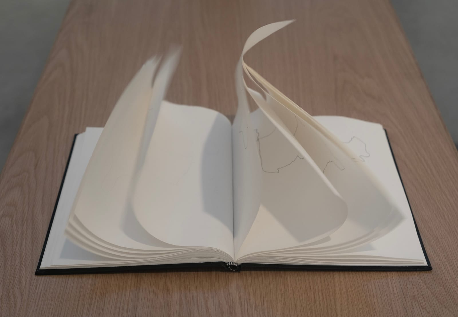 Image of 100 Hand-drawn Maps of USA