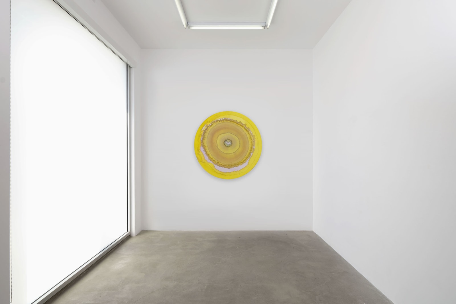 Image of Expanding complementary colours of light.