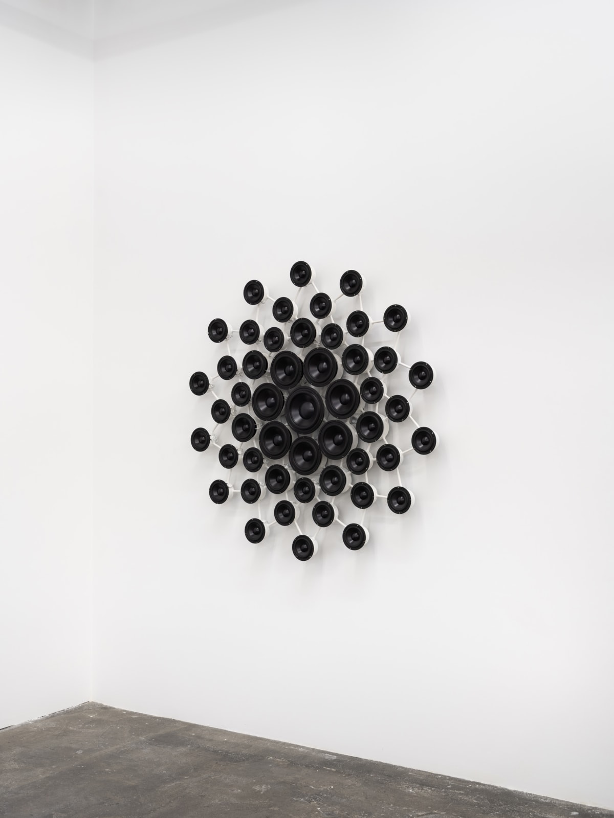 Image of Silent sigh