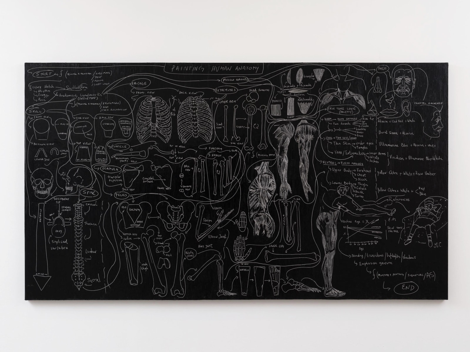 Image of Flowchart (Painting Anatomy) .