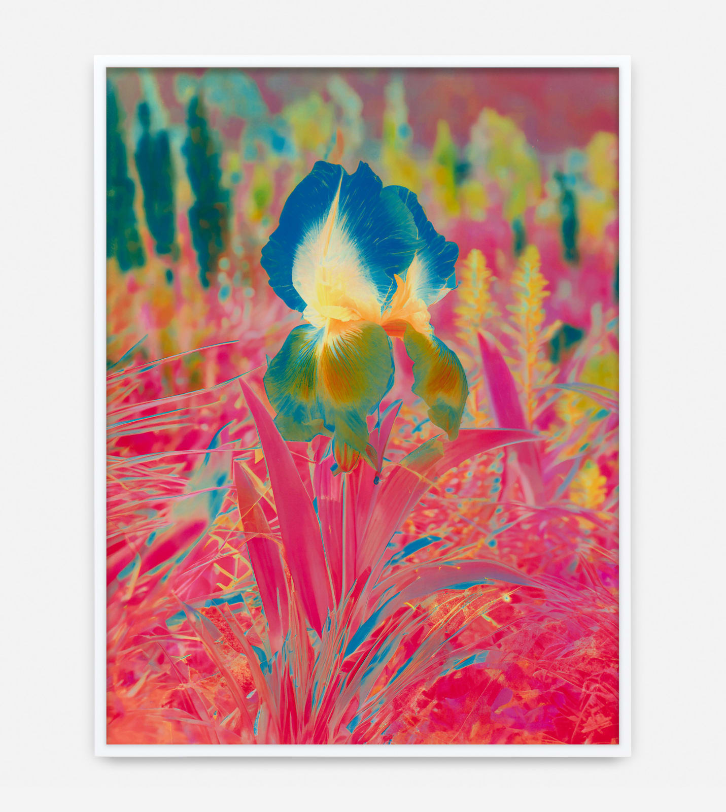 Image of Här Steichen Version VIII.