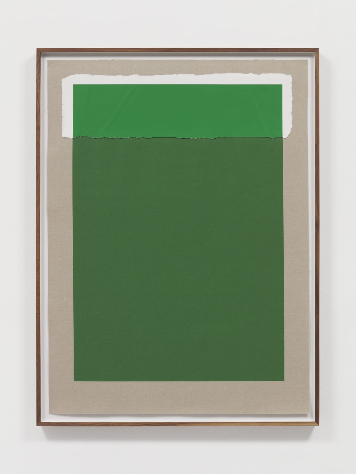analia saban green print