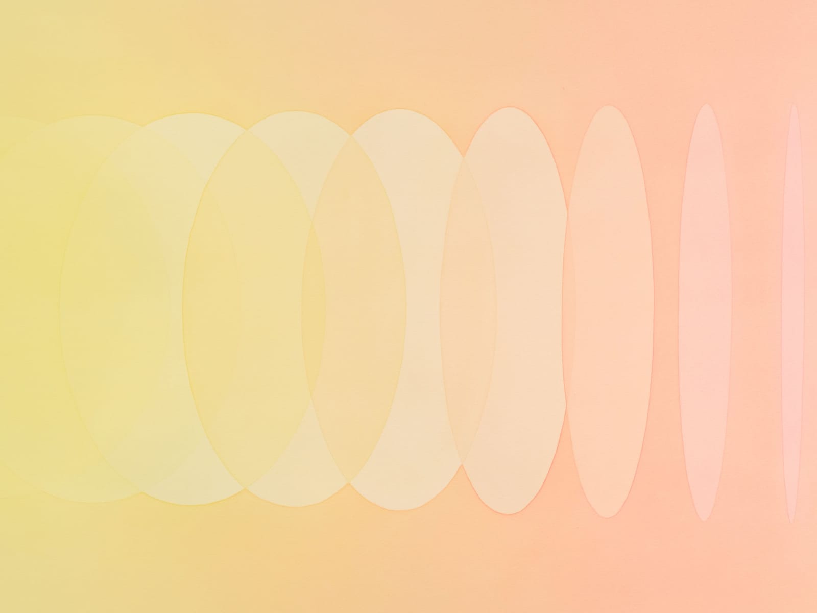 Image of The rainbow divide