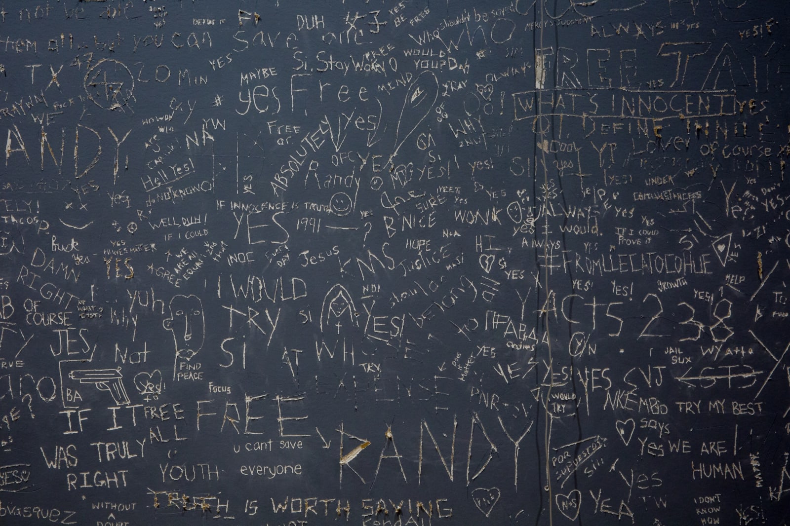 Image of After the Wake Up