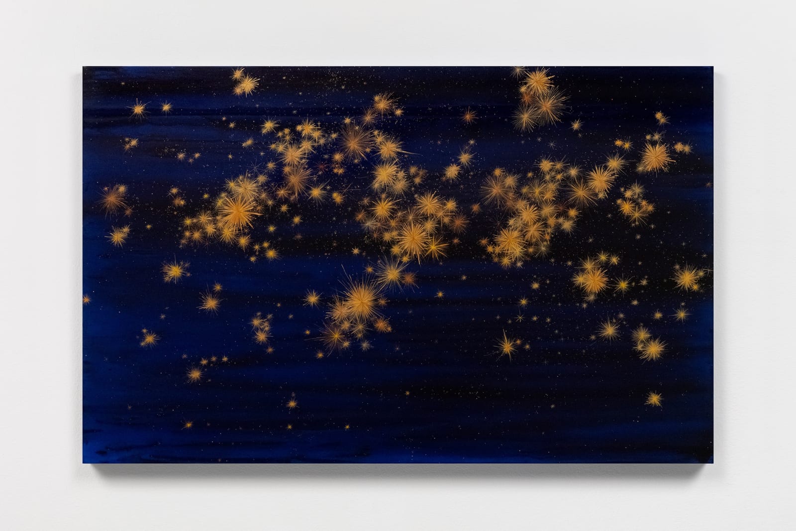 Night with Stars IV