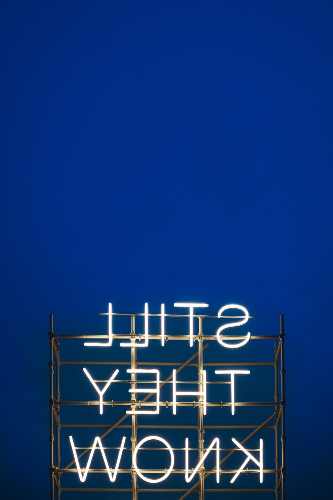 Shilpa Gupta, Still They Know Not What I Dream, 2025