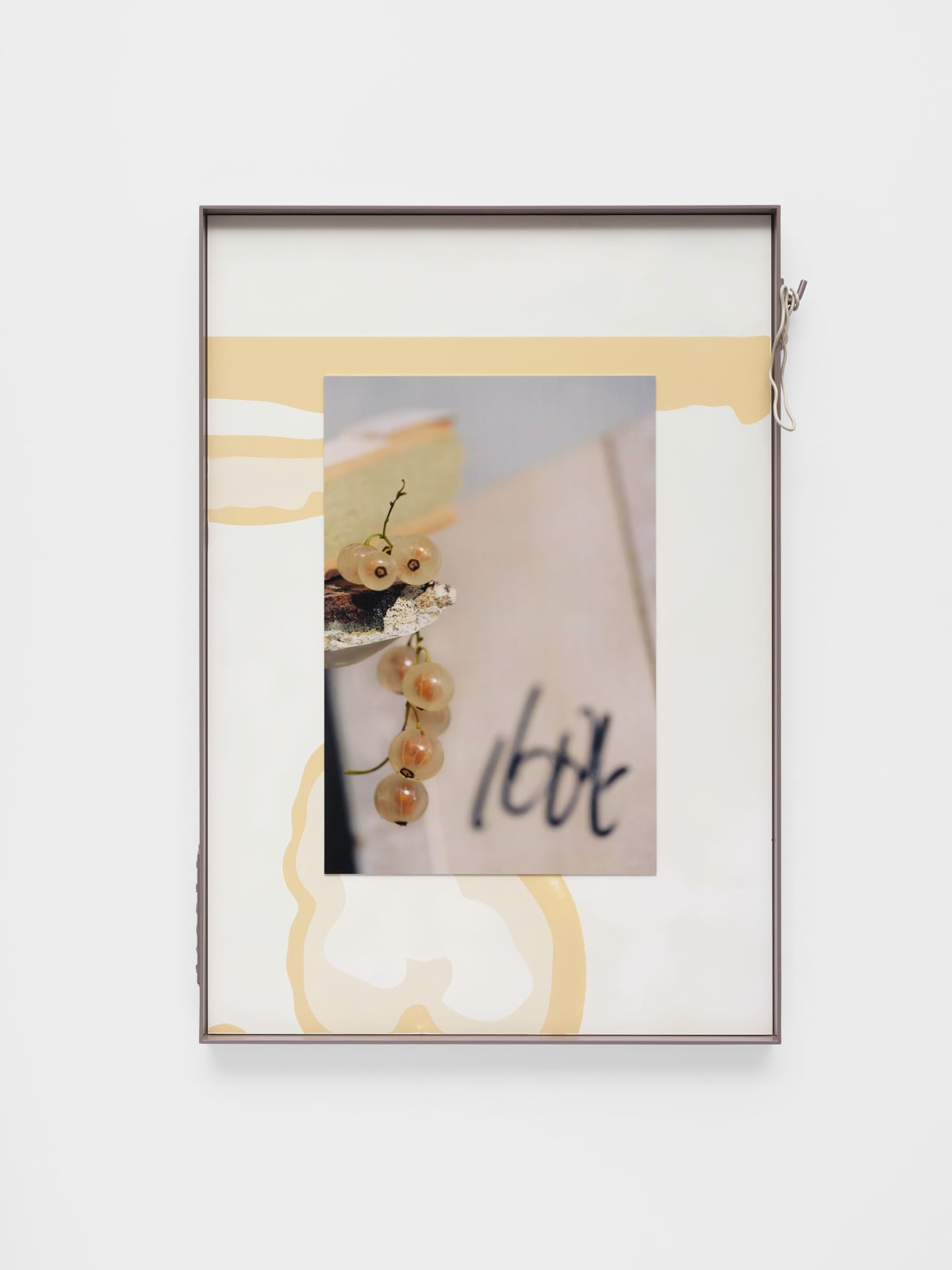 Image of Landings (11561.1, Ogle).