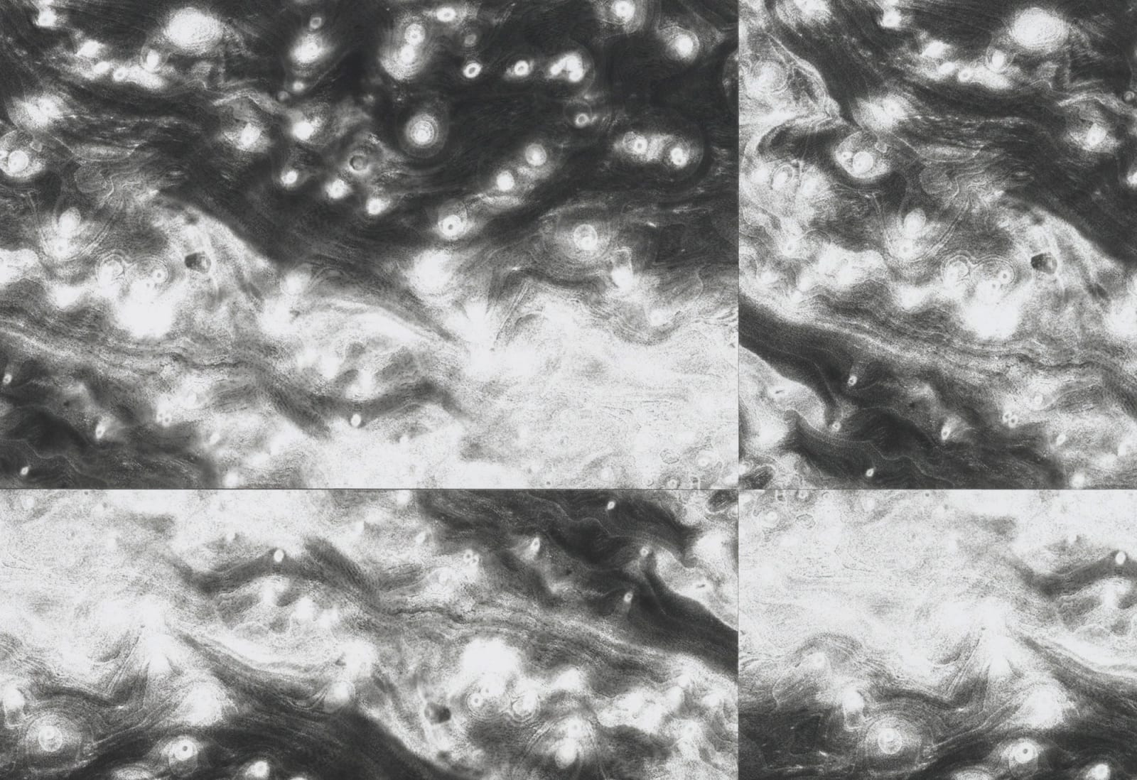 Lisa Oppenheim, Landscape Portraits (Camphor) (Version V), 2020