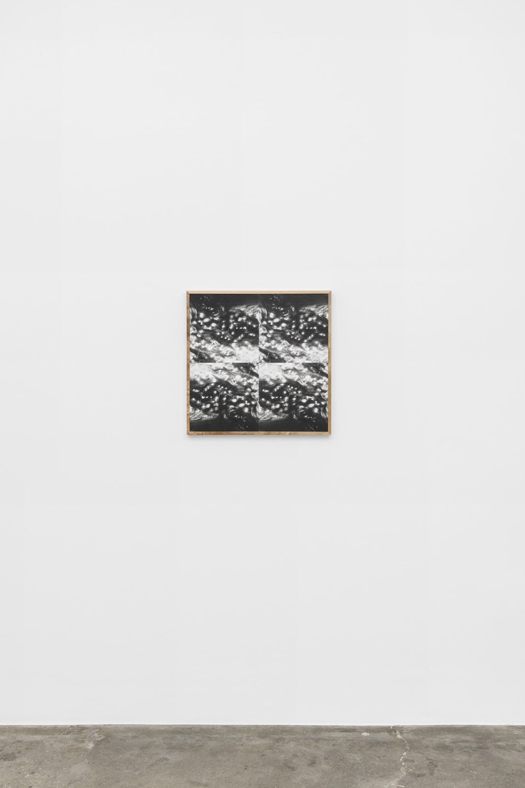 Lisa Oppenheim, Landscape Portraits (Camphor) (Version V), 2020