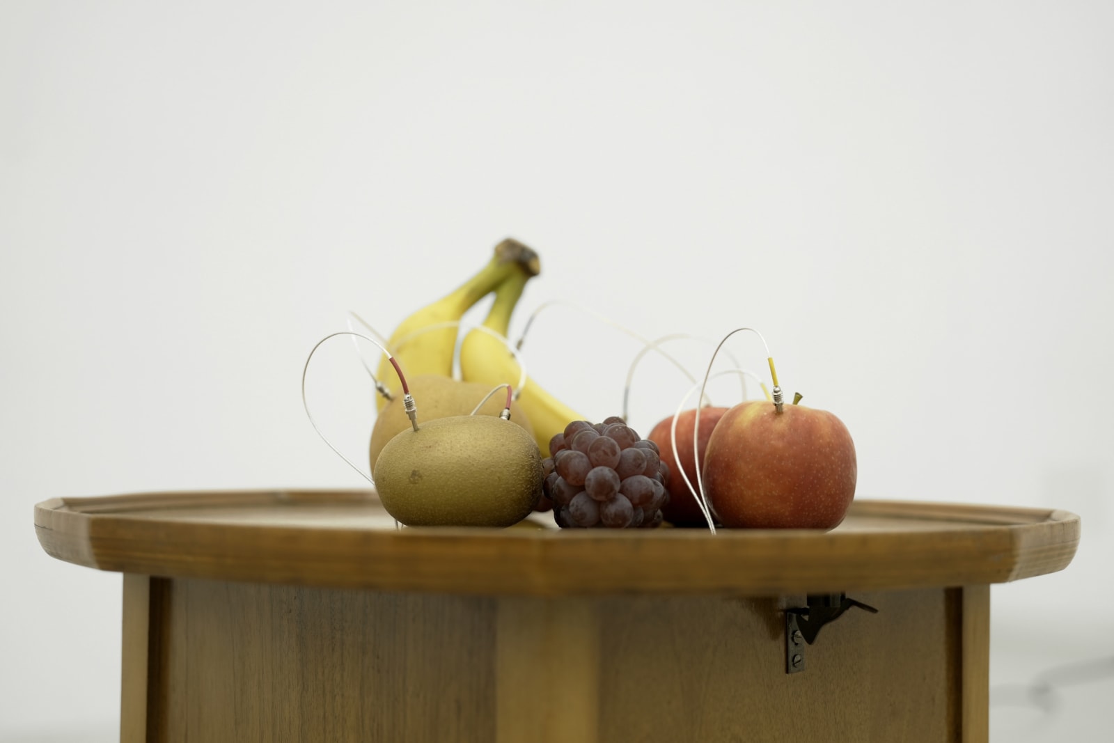 Image of Decomposition.