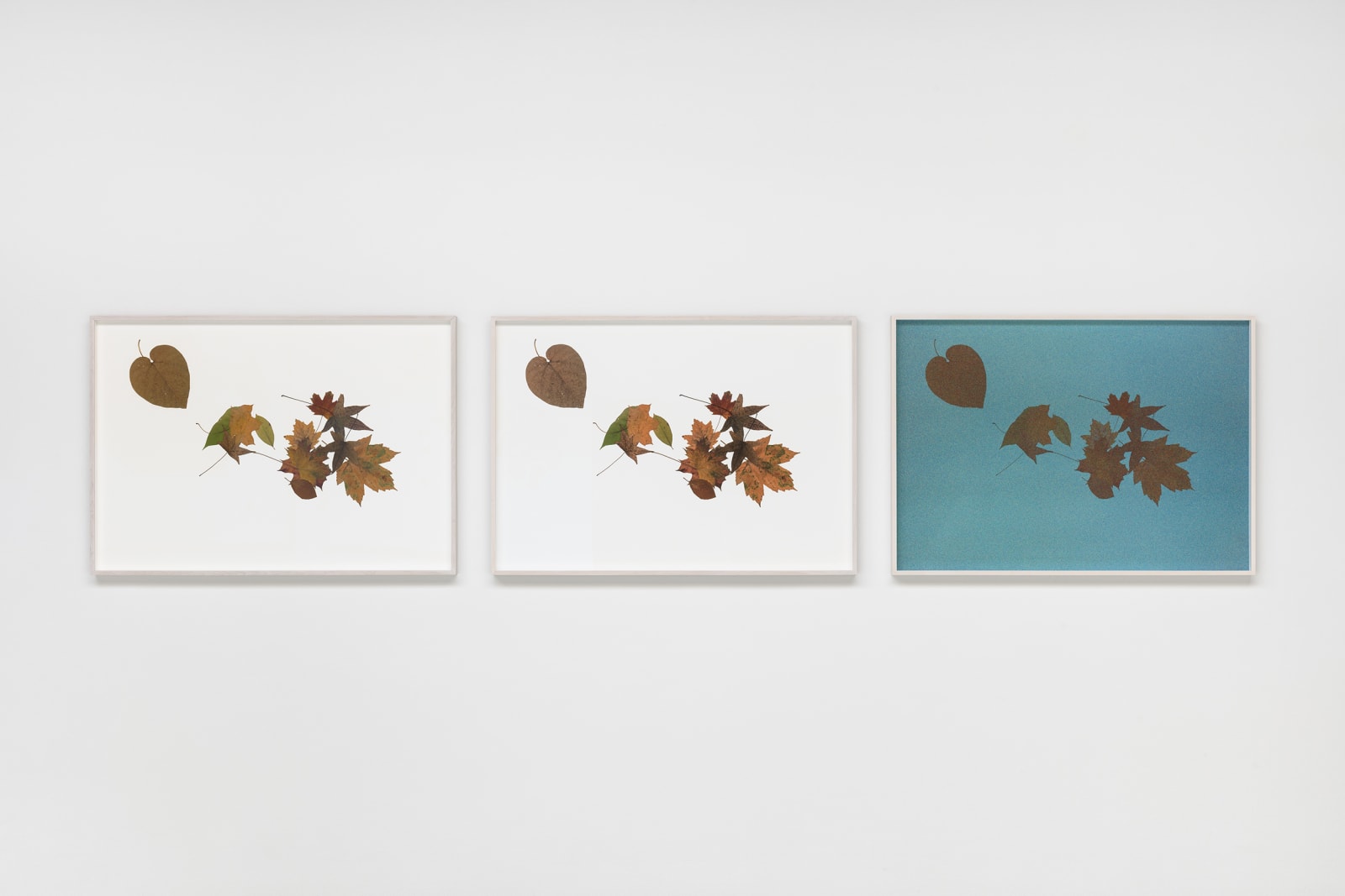 Silent Autumn 23042021 (triptych)...
