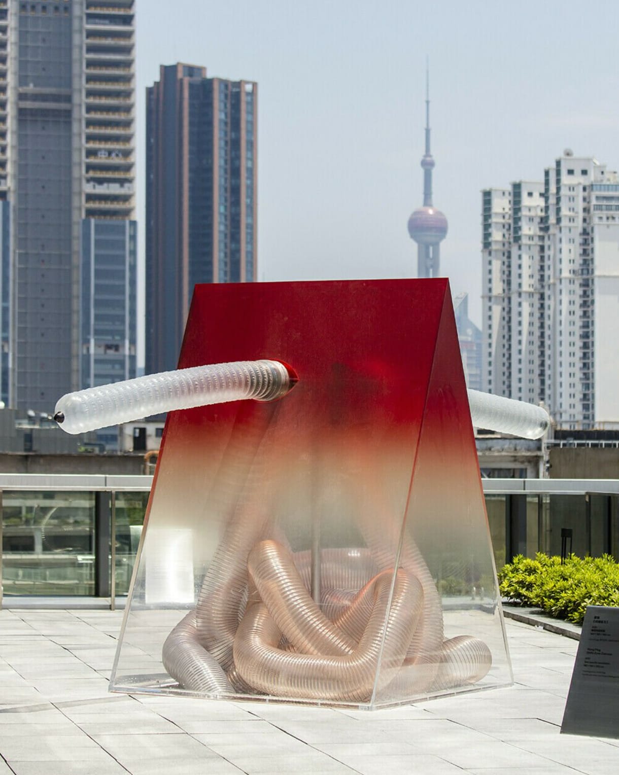 Image of Shifty Eyes Exercise.