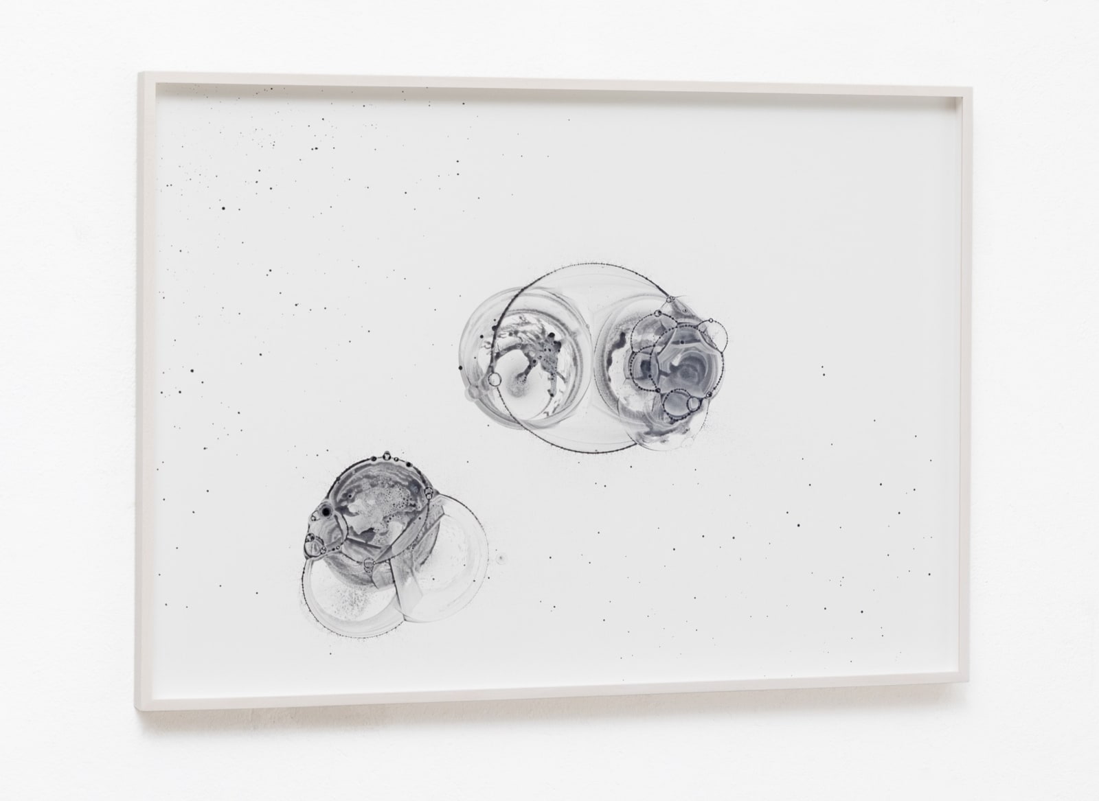 Image of Ha Chi Ki...